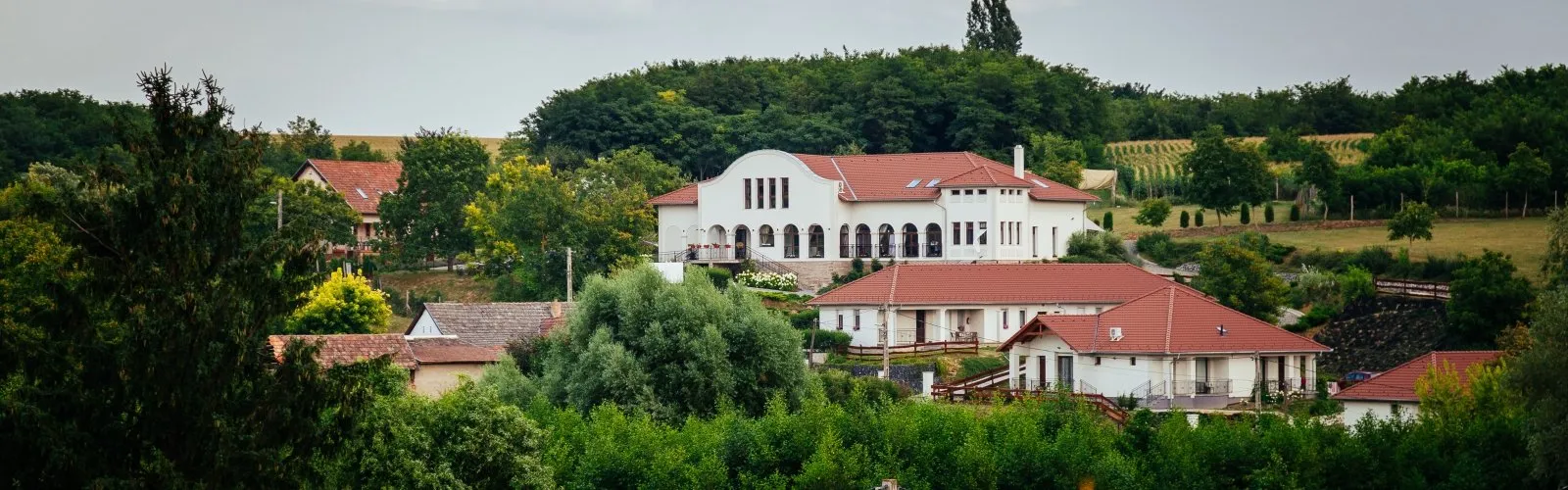 A somogyvámosi Rádhé Resort épülete a dombtetőn, körülötte zöld táj